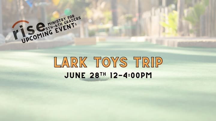Rise Lark Toys Trip